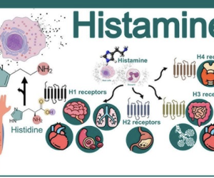 histamine